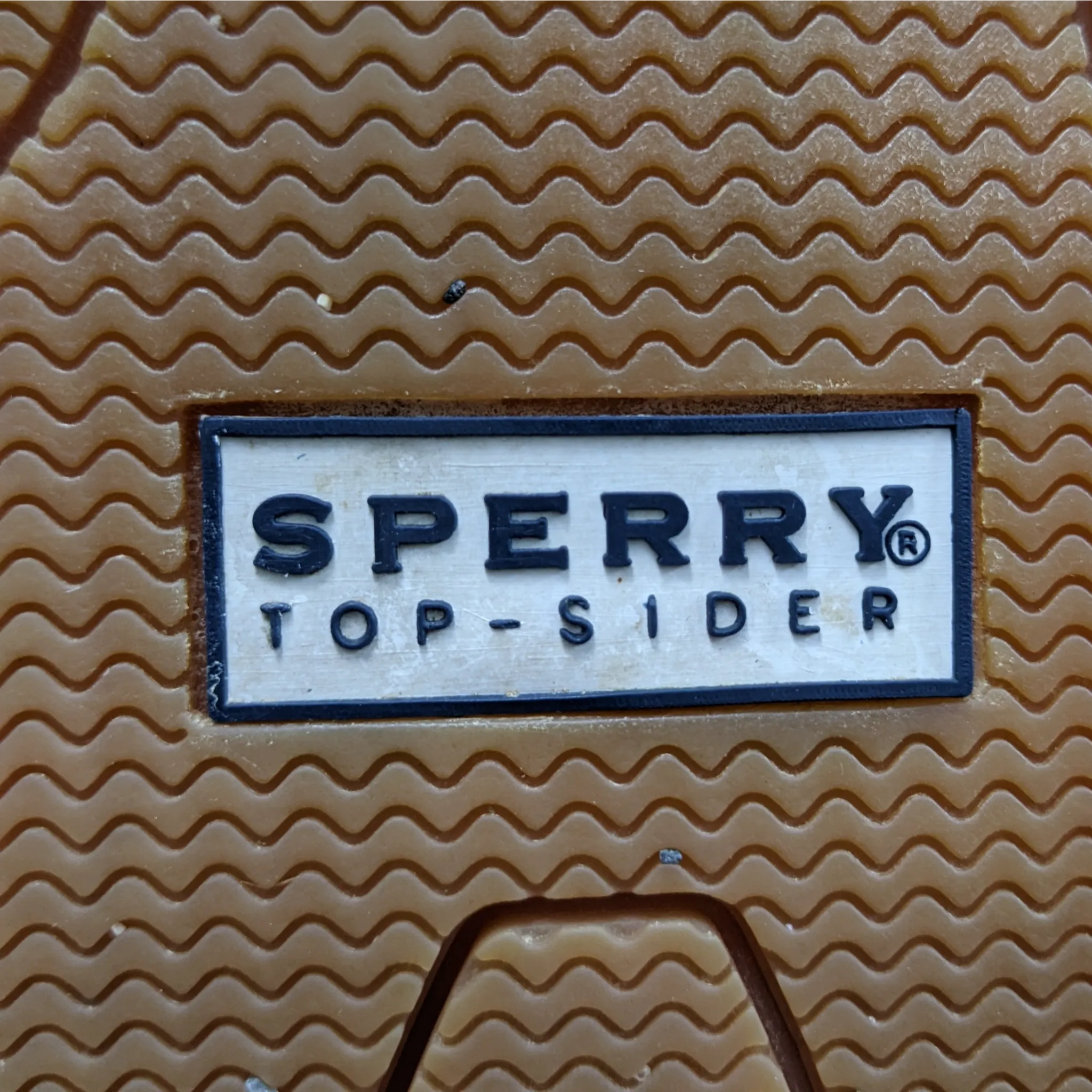 حذاء رياضي SperryTopSider باللون الأزرق